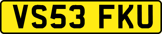 VS53FKU