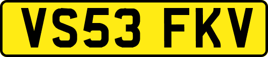 VS53FKV