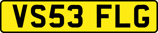 VS53FLG