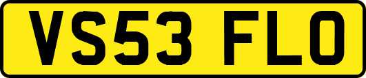 VS53FLO