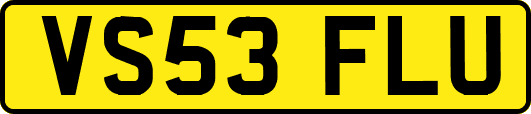 VS53FLU