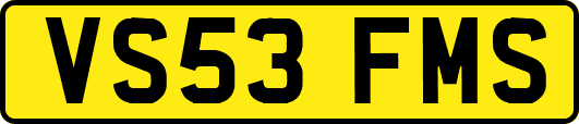 VS53FMS