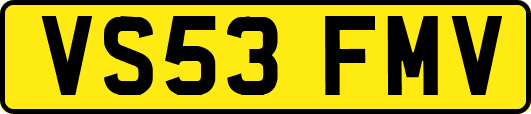 VS53FMV