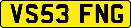 VS53FNG