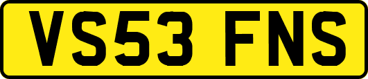 VS53FNS