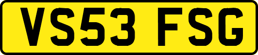 VS53FSG