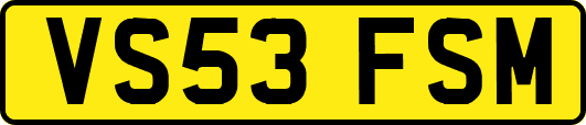 VS53FSM