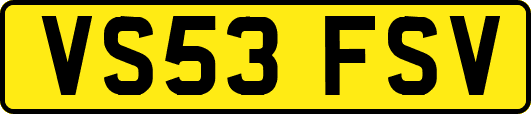 VS53FSV