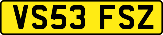 VS53FSZ