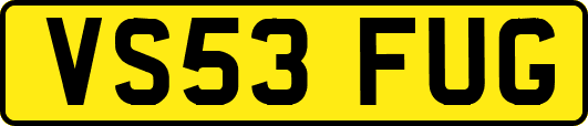 VS53FUG