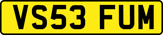 VS53FUM