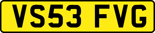 VS53FVG