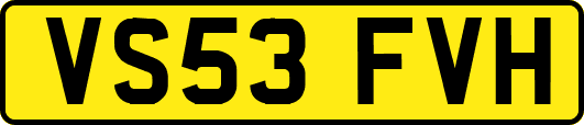VS53FVH
