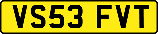 VS53FVT