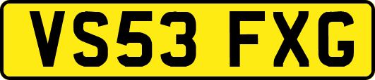 VS53FXG