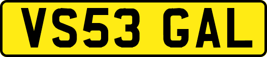 VS53GAL