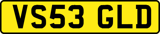 VS53GLD