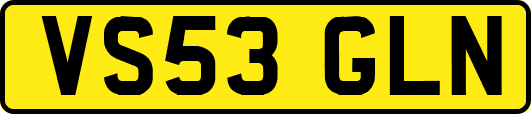 VS53GLN