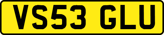 VS53GLU