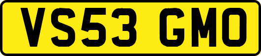 VS53GMO