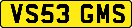 VS53GMS