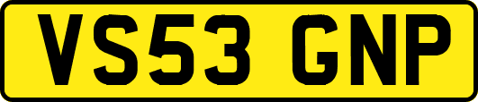 VS53GNP