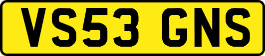 VS53GNS