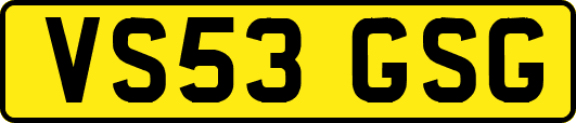VS53GSG