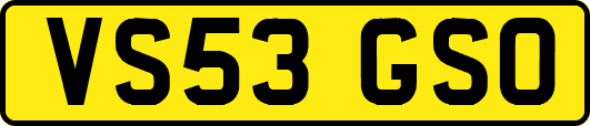 VS53GSO
