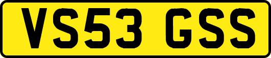 VS53GSS