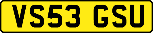 VS53GSU