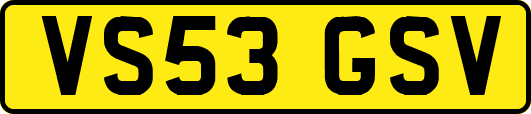 VS53GSV