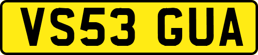 VS53GUA