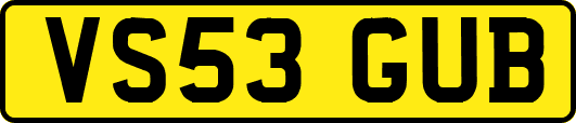 VS53GUB