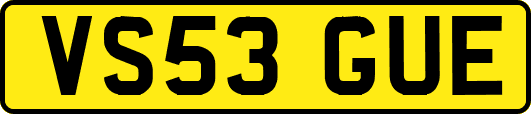 VS53GUE