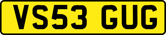 VS53GUG