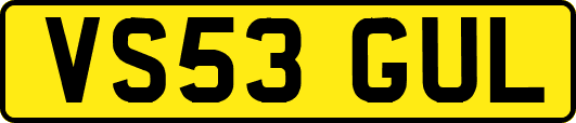 VS53GUL