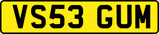 VS53GUM