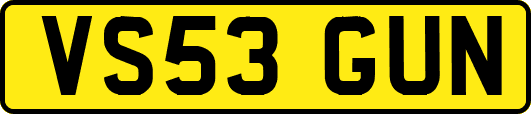 VS53GUN