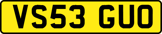VS53GUO