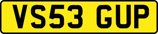 VS53GUP