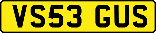VS53GUS