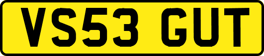 VS53GUT