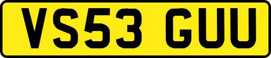 VS53GUU