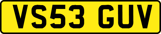 VS53GUV