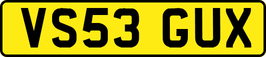 VS53GUX