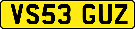 VS53GUZ