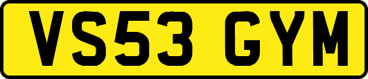 VS53GYM