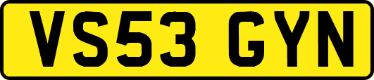 VS53GYN