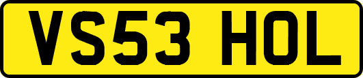 VS53HOL